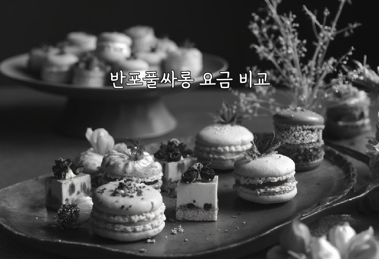 반포풀싸롱 요금 비교