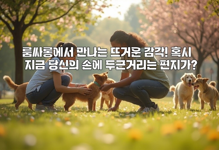 룸싸롱에서 만나는 뜨거운 감각! 혹시 지금 당신의 손에 두근거리는 편지가?