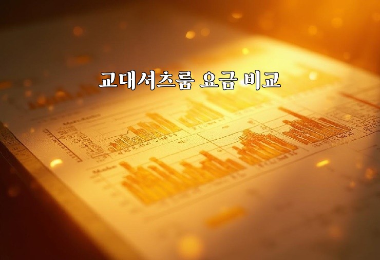 교대셔츠룸 요금 비교