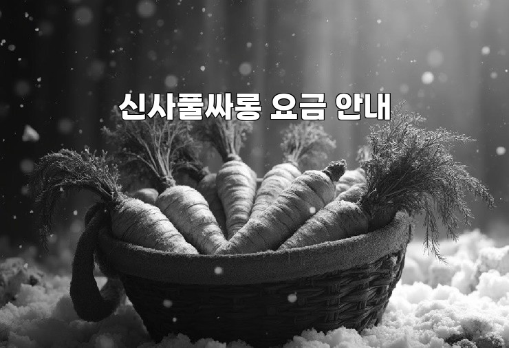 신사풀싸롱 요금 안내