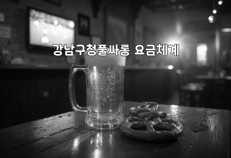 강남구청풀싸롱 요금체계