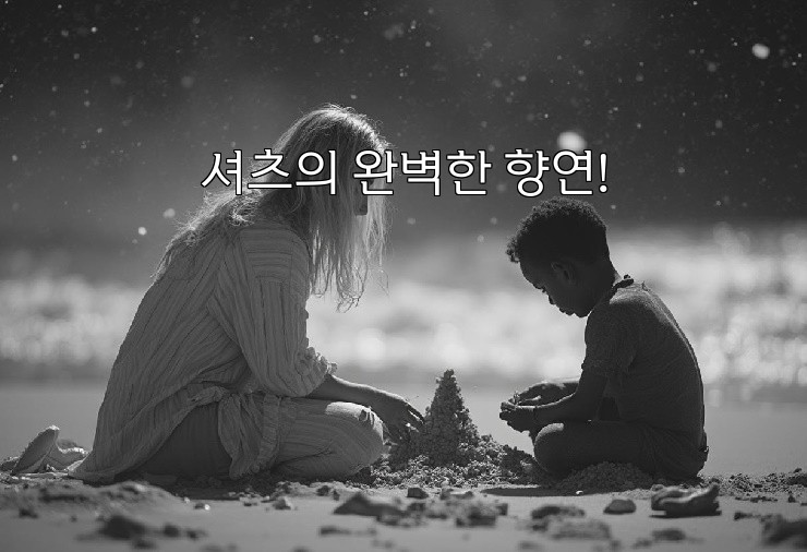 셔츠의 완벽한 향연!