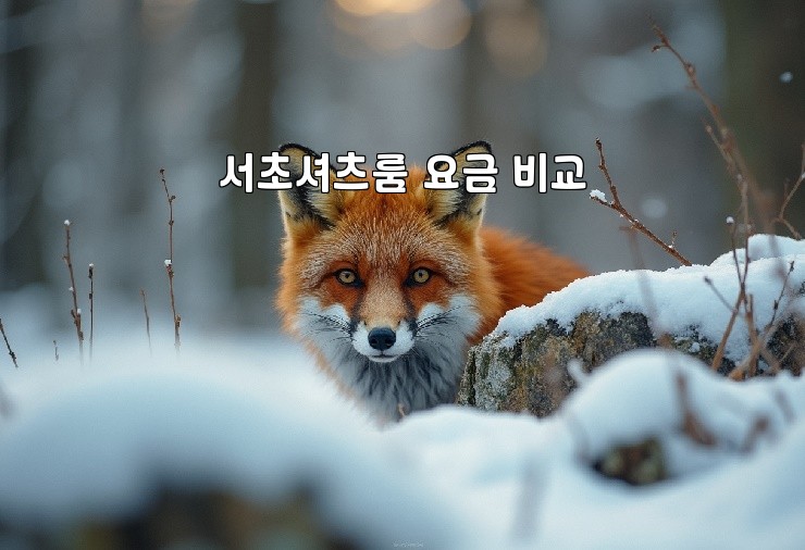 서초셔츠룸 요금 비교