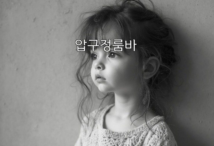 압구정룸바 