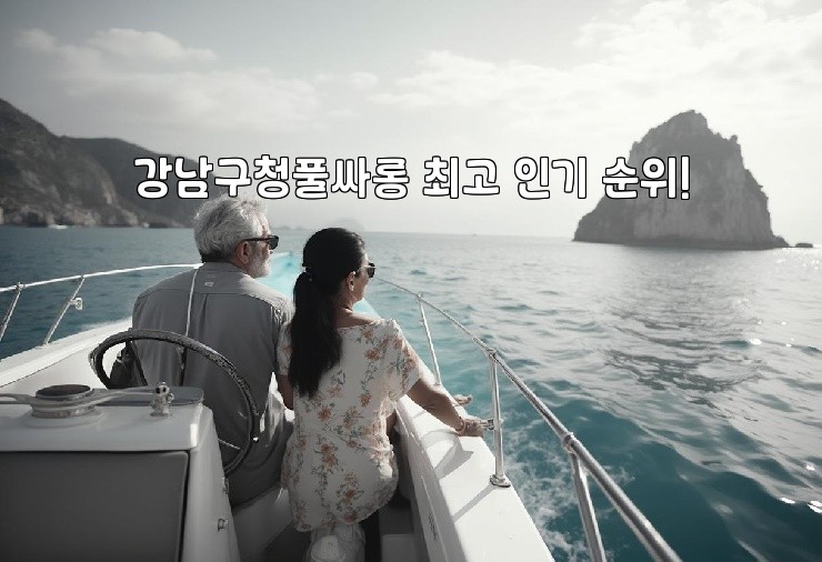 강남구청풀싸롱 최고 인기 순위!