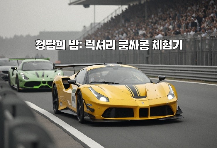 청담의 밤: 럭셔리 룸싸롱 체험기