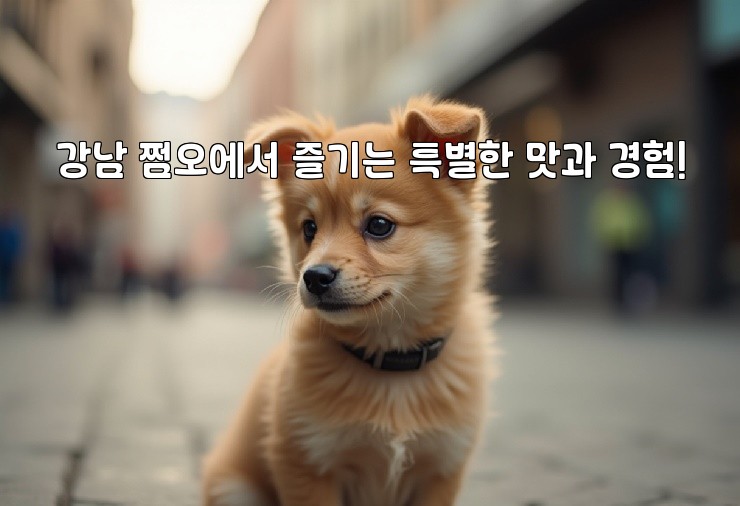 강남 쩜오에서 즐기는 특별한 맛과 경험!